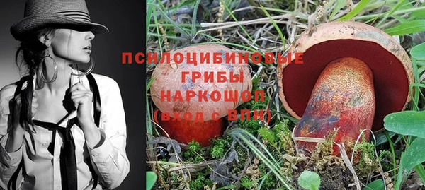 винт Новодвинск