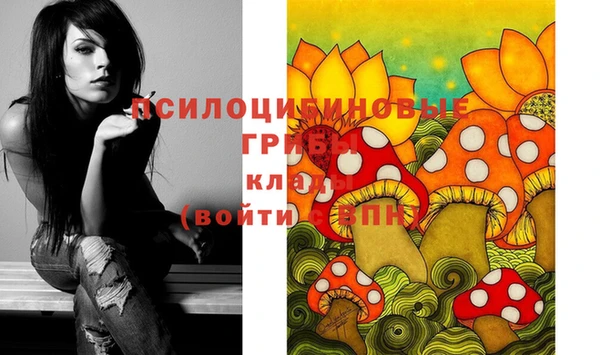 apvp Новозыбков
