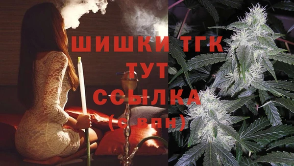 COCAINE Няндома