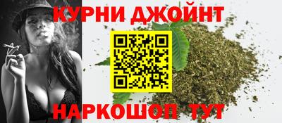 мяу мяу мука Гатчина